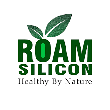 Roam Silicon